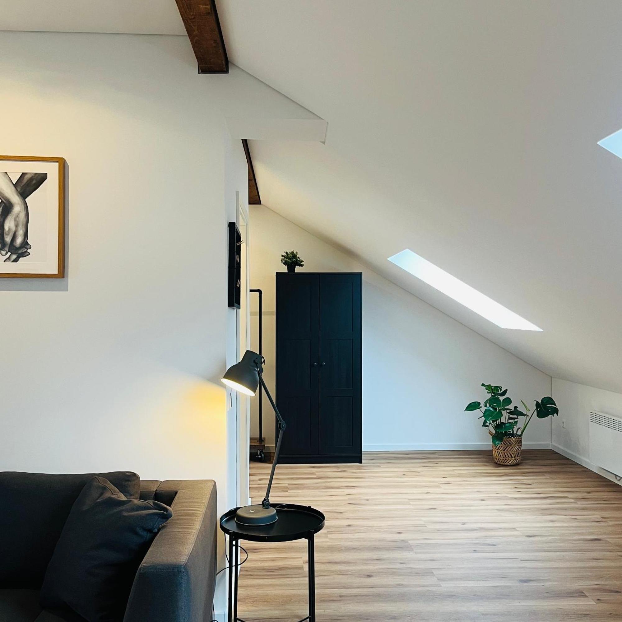 City Loft Apartment Bad Saeckingen Экстерьер фото