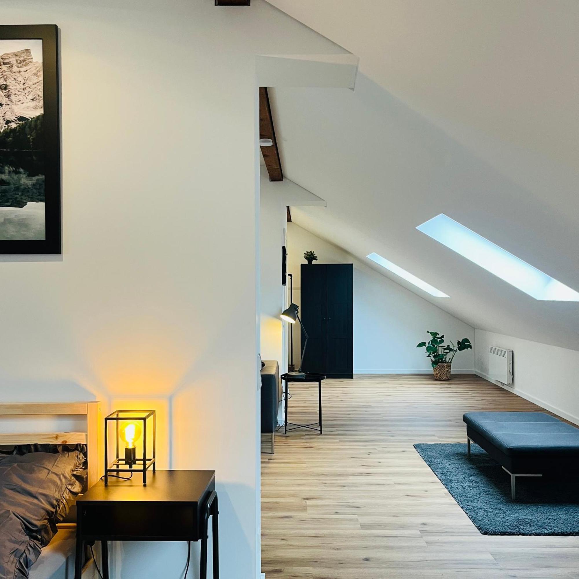 City Loft Apartment Bad Saeckingen Экстерьер фото